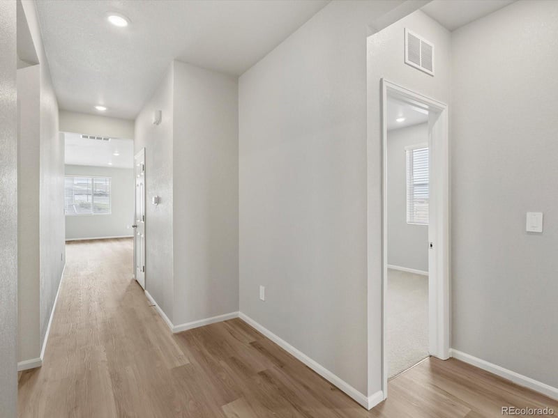 1624 Yampa River Dr, Windsor, CO 80550