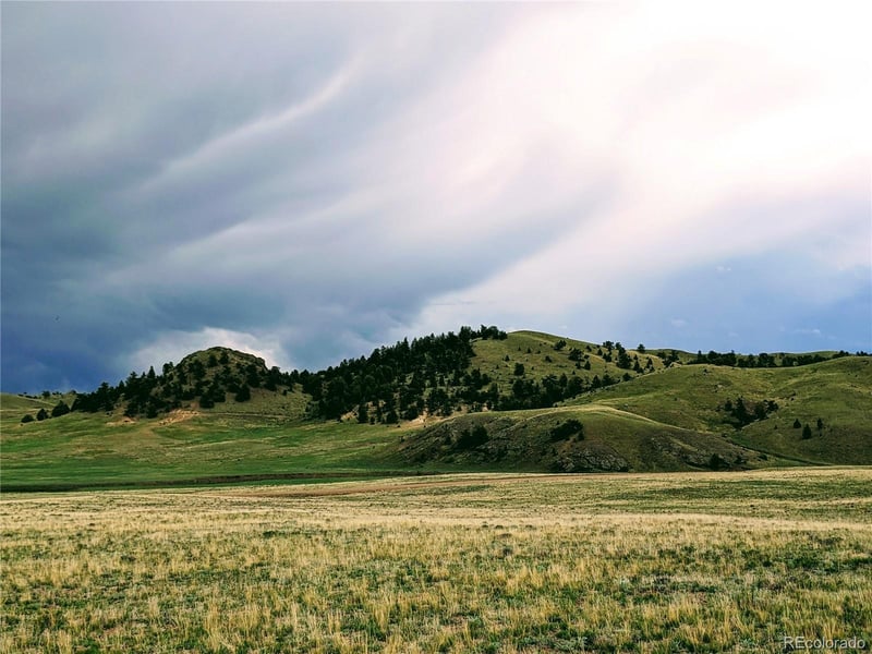 2667 Cahokia Rd, Hartsel, CO 80449