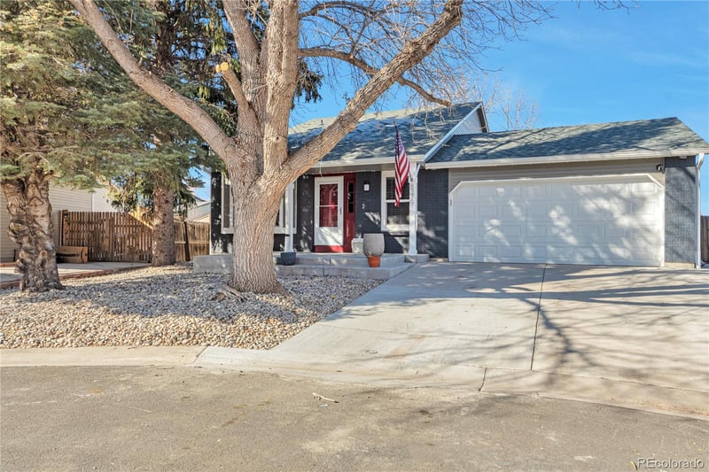 8379 Curlycup Pl, Parker, CO 80134