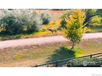 315 Meadowsweet Cir, Loveland, CO 80537