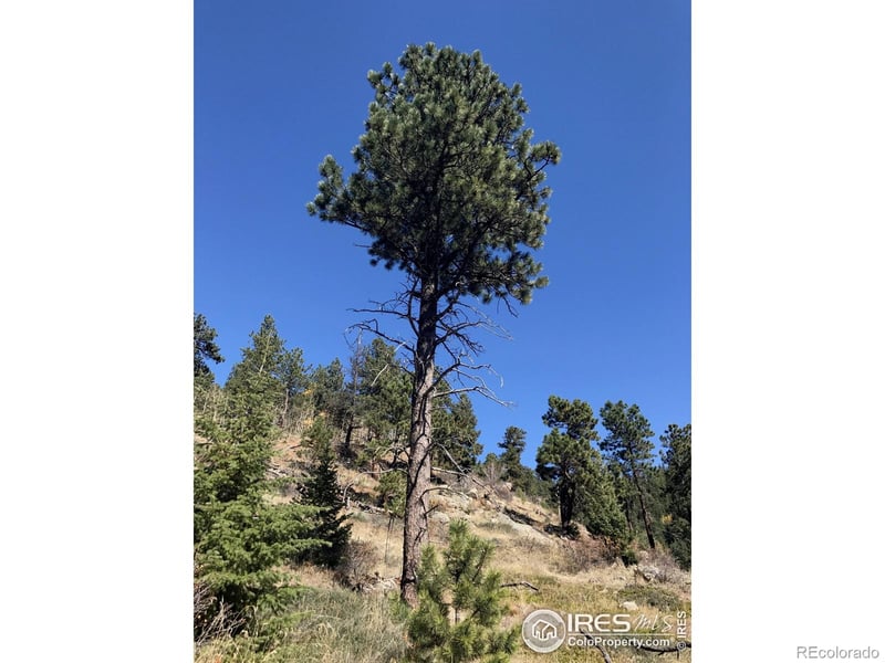 Good Friday Rd, Boulder, CO 80302