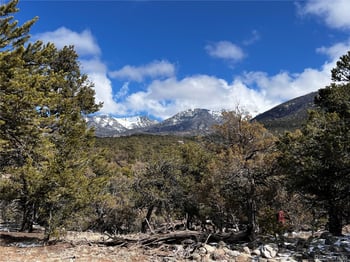 2161 Indian Well Way, Crestone, CO 81131