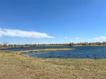 12487 Syracuse St, Thornton, CO 80602