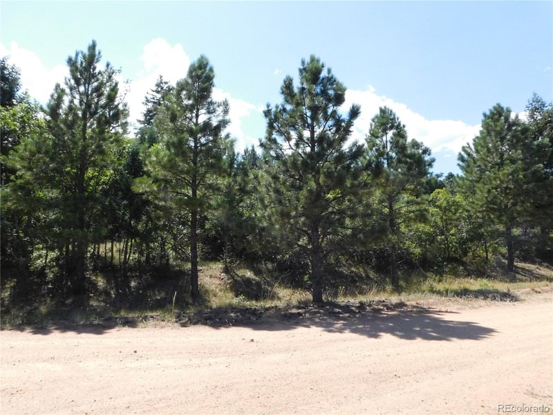 6344 Troon Ct, Larkspur, CO 80118