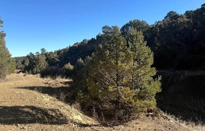 8100 La Belle Trl, Trinidad, CO 81082