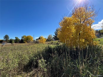 7873 Carr Ct, Littleton, CO 80128