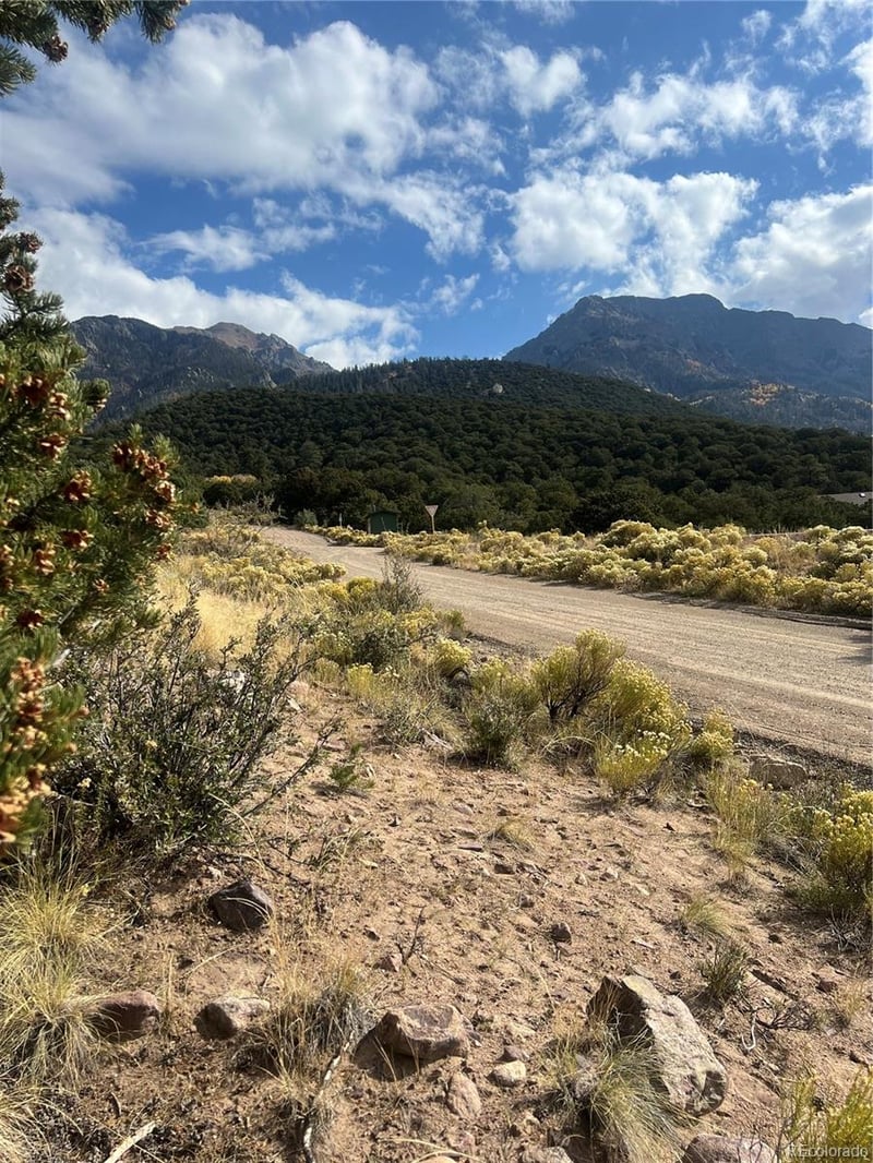 866 Pine Cone Way, Crestone, CO 81131