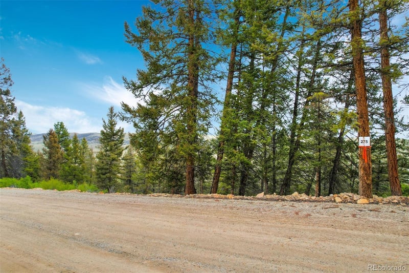 Trout Creek Ln Lot 275, Fairplay, CO 80440