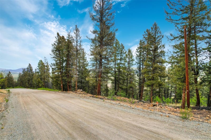 Trout Creek Ln Lot 275, Fairplay, CO 80440