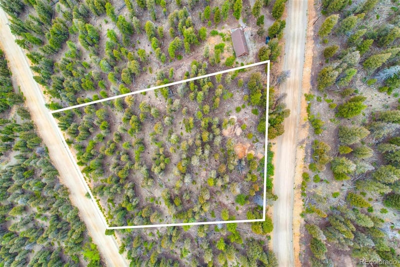 Trout Creek Ln Lot 275, Fairplay, CO 80440