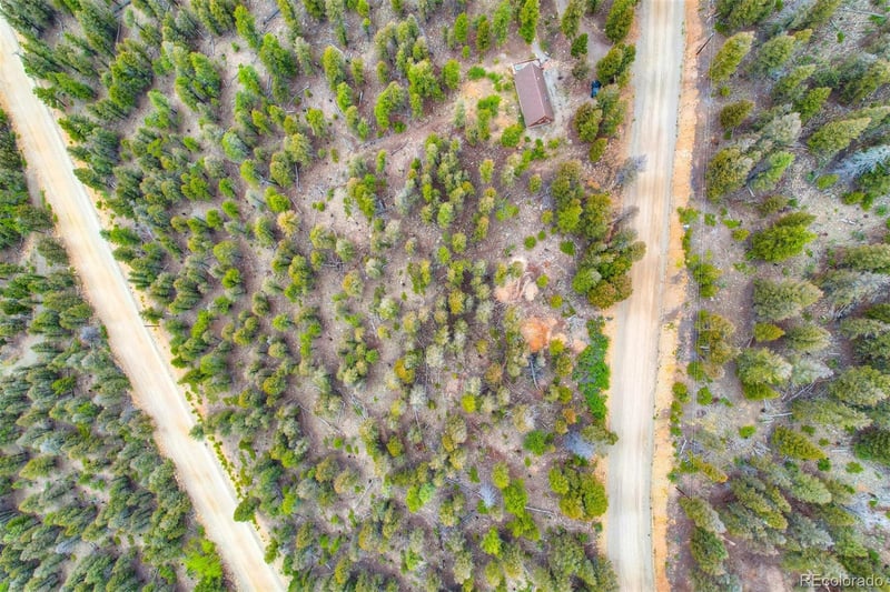 Trout Creek Ln Lot 275, Fairplay, CO 80440