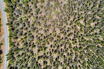 Lot 262 Middle Fork Vi, Fairplay, CO 80440