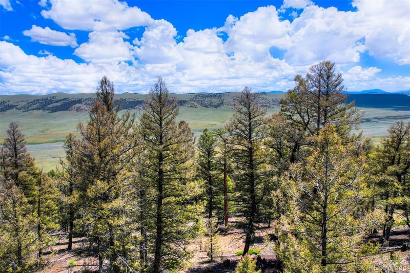 Lot 262 Middle Fork Vi Lot 262, Fairplay, CO 80440