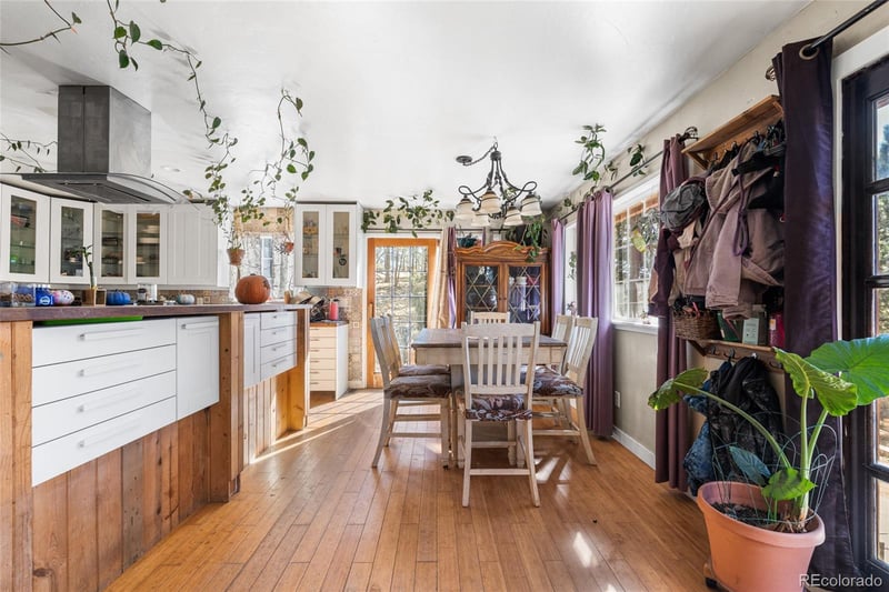 947 Sleepy Hollow Dr, Bailey, CO 80421