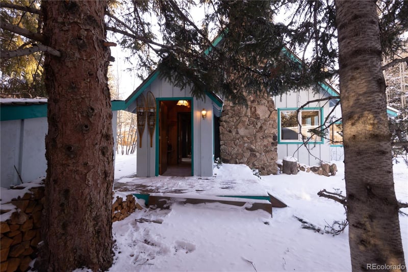 294 Vasquez Rd, Winter Park, CO 80482