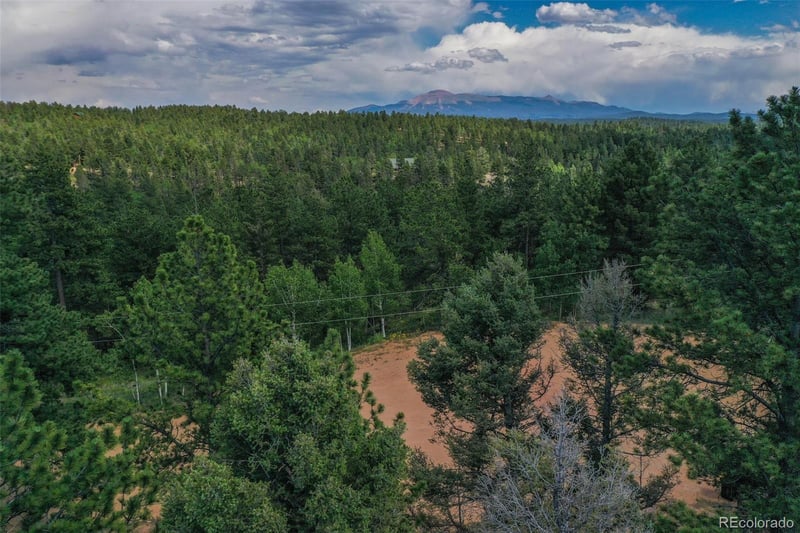 449 Woody Creek Rd, Florissant, CO 80816