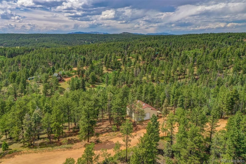 449 Woody Creek Rd, Florissant, CO 80816