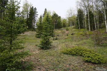 Vacant Land, Cripple Creek, CO 80813
