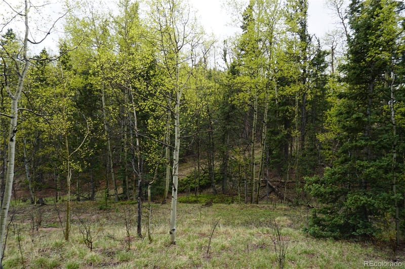 Vacant Land, Cripple Creek, CO 80813