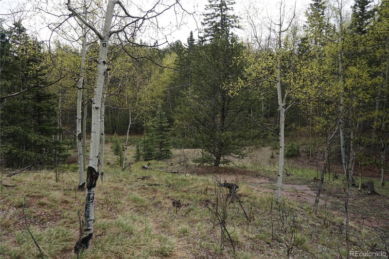 Vacant Land, Cripple Creek, CO 80813