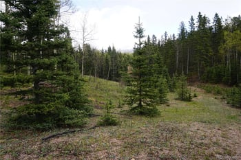 Vacant Land, Cripple Creek, CO 80813
