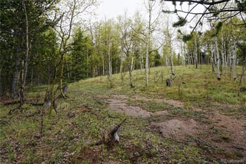 Vacant Land, Cripple Creek, CO 80813