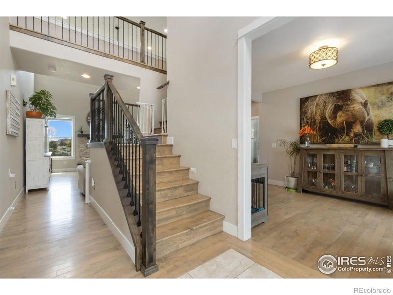 2879 Branding Iron Dr, Severance, CO 80524