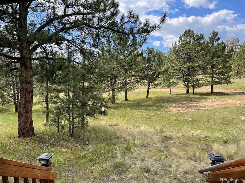 330 Arrowhead Dr, Florissant, CO 80816