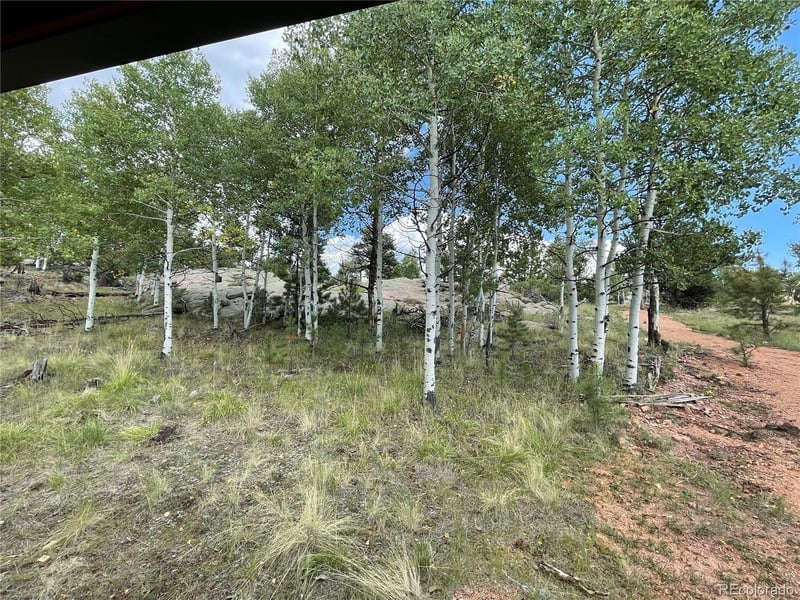 330 Arrowhead Dr, Florissant, CO 80816