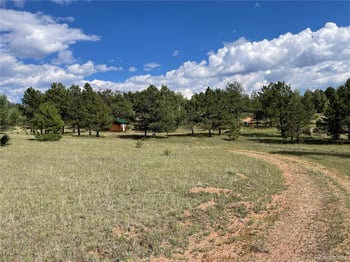330 Arrowhead Dr, Florissant, CO 80816
