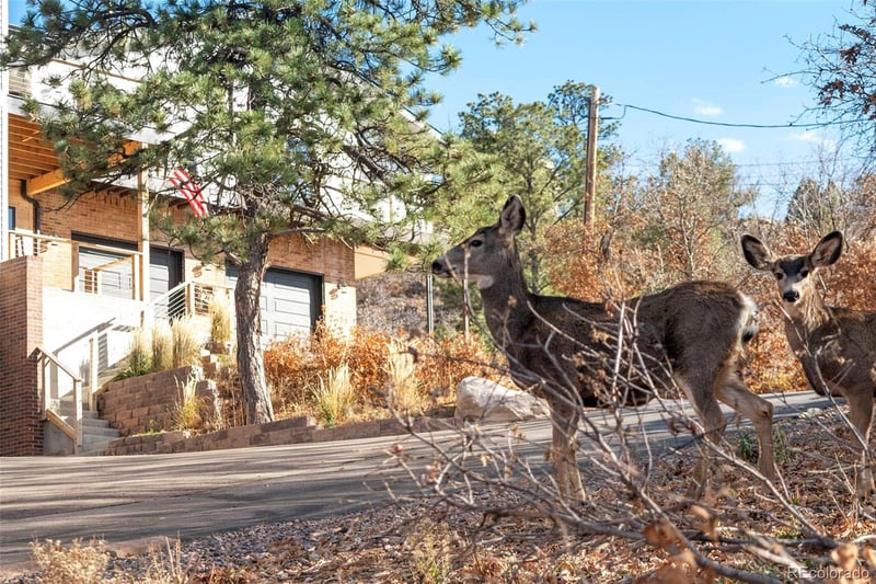 5468 Lariat Dr, Castle Rock, CO 80108