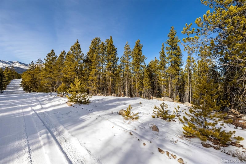 539 Sequoia Dr, Leadville, CO 80461