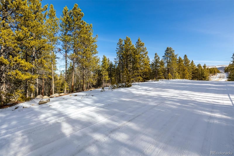 539 Sequoia Dr, Leadville, CO 80461
