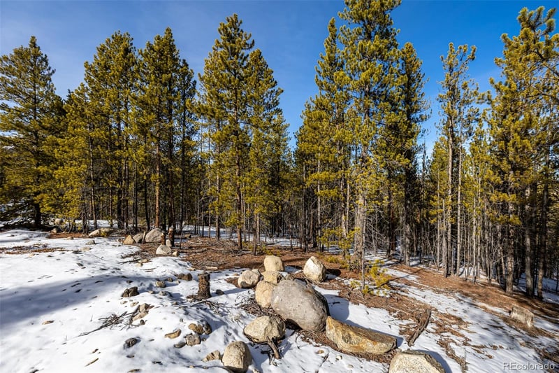 539 Sequoia Dr, Leadville, CO 80461
