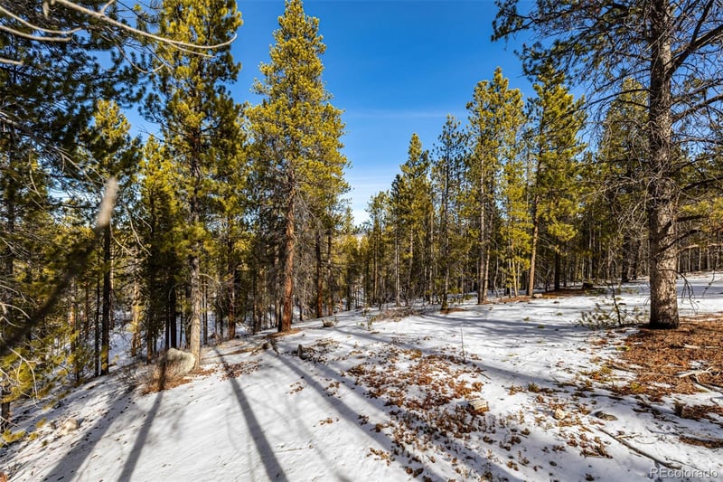 539 Sequoia Dr, Leadville, CO 80461