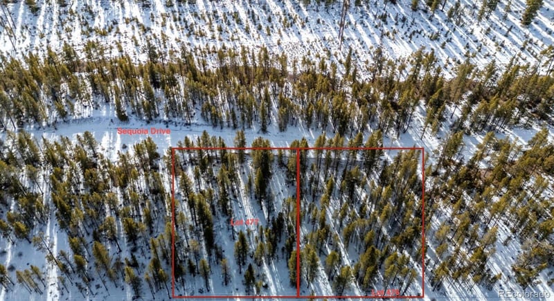 539 Sequoia Dr, Leadville, CO 80461