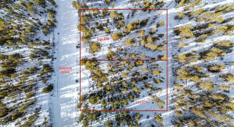 539 Sequoia Dr, Leadville, CO 80461
