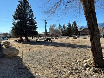 513 Gold St, Buena Vista, CO 81211