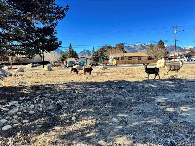 513 Gold St, Buena Vista, CO 81211