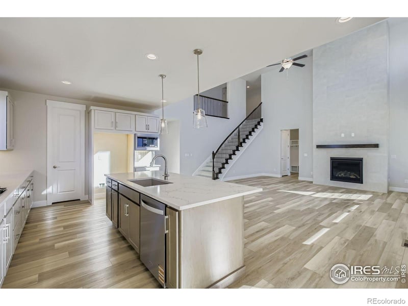 1833 Flourish Dr, Windsor, CO 80550