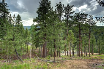 6874 Lynx Lair Rd, Evergreen, CO 80439