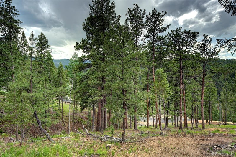 6874 Lynx Lair Rd, Evergreen, CO 80439