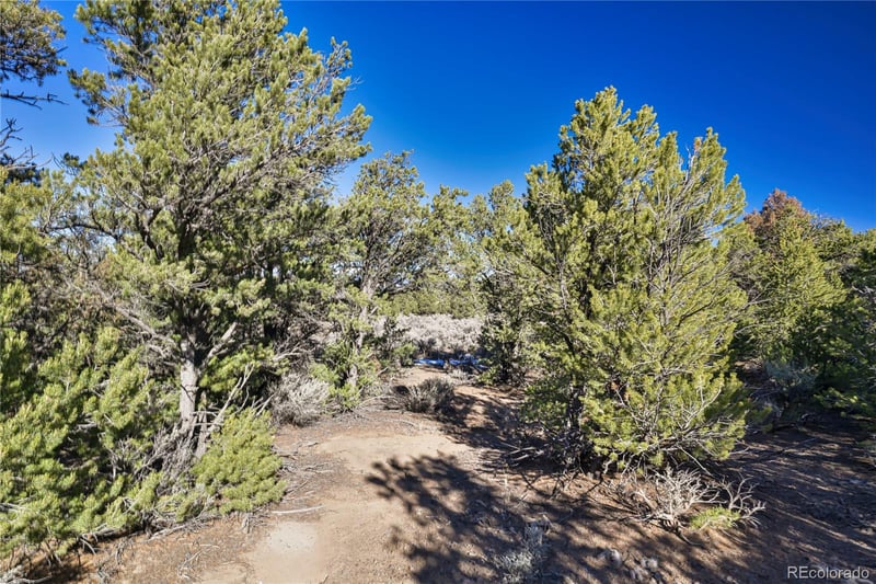 Creelman Dr, Fort Garland, CO 81133