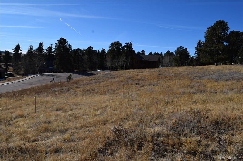 108 Allison Pl, Divide, CO 80814