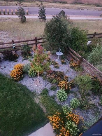 17897 87th Ave, Arvada, CO 80007