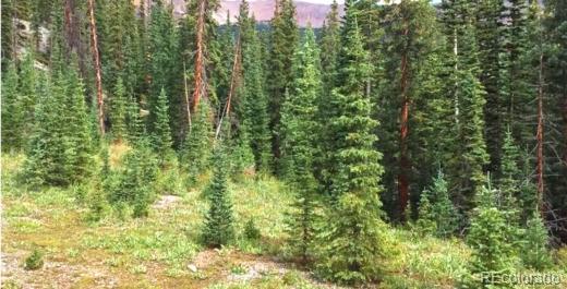 111 Bonnie Bell, Gunnison, CO 81231