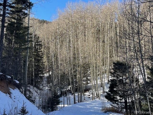 Lot 5252 Scott Rd, Fort Garland, CO 81133