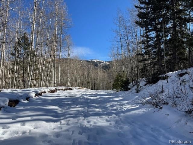 Lot 5252 Scott Rd, Fort Garland, CO 81133