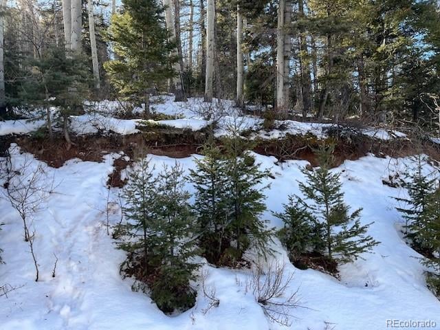 Lot 5252 Scott Rd, Fort Garland, CO 81133