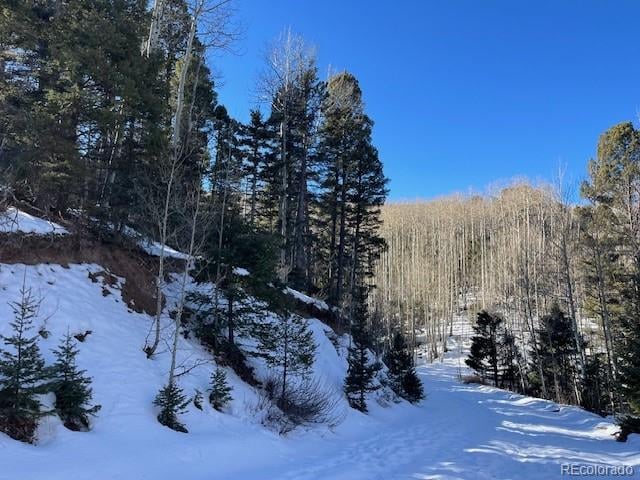 Lot 5252 Scott Rd, Fort Garland, CO 81133